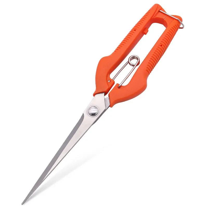 องุ่นกรรไกรกรรไกรตัดแต่งกิ่งสว - Furniture Joining Hardware บทวิจารณ์และราคา